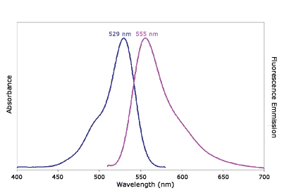 Absorbance and Fluorescence Emission