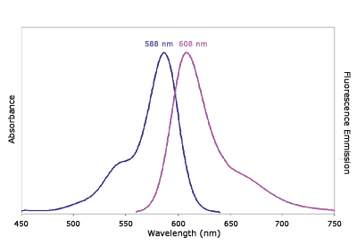 Absorbance and Fluorescence Emission