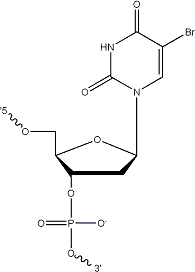 Structure